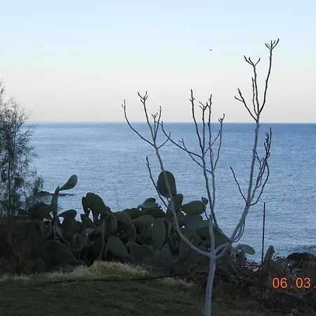 Maistrali *